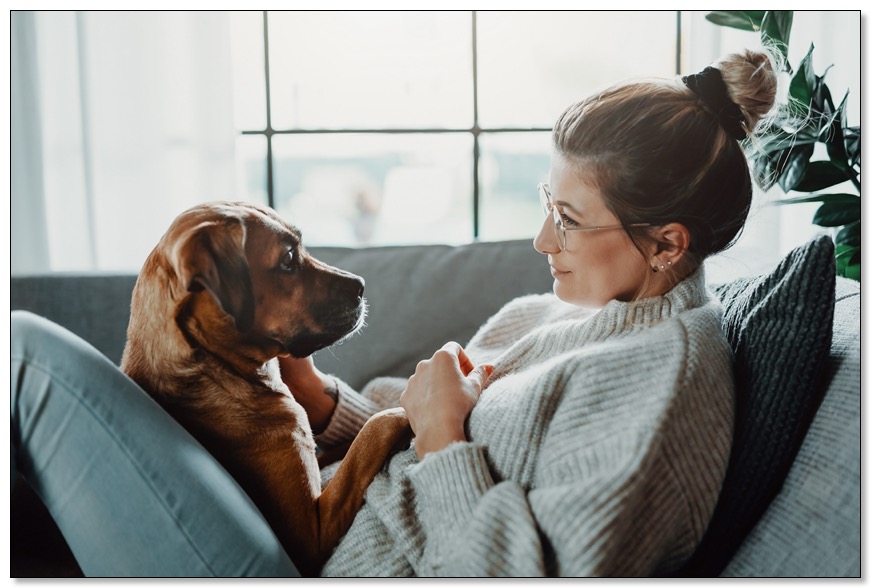 Woman reclining on couch with a dog on her lap looking at each other